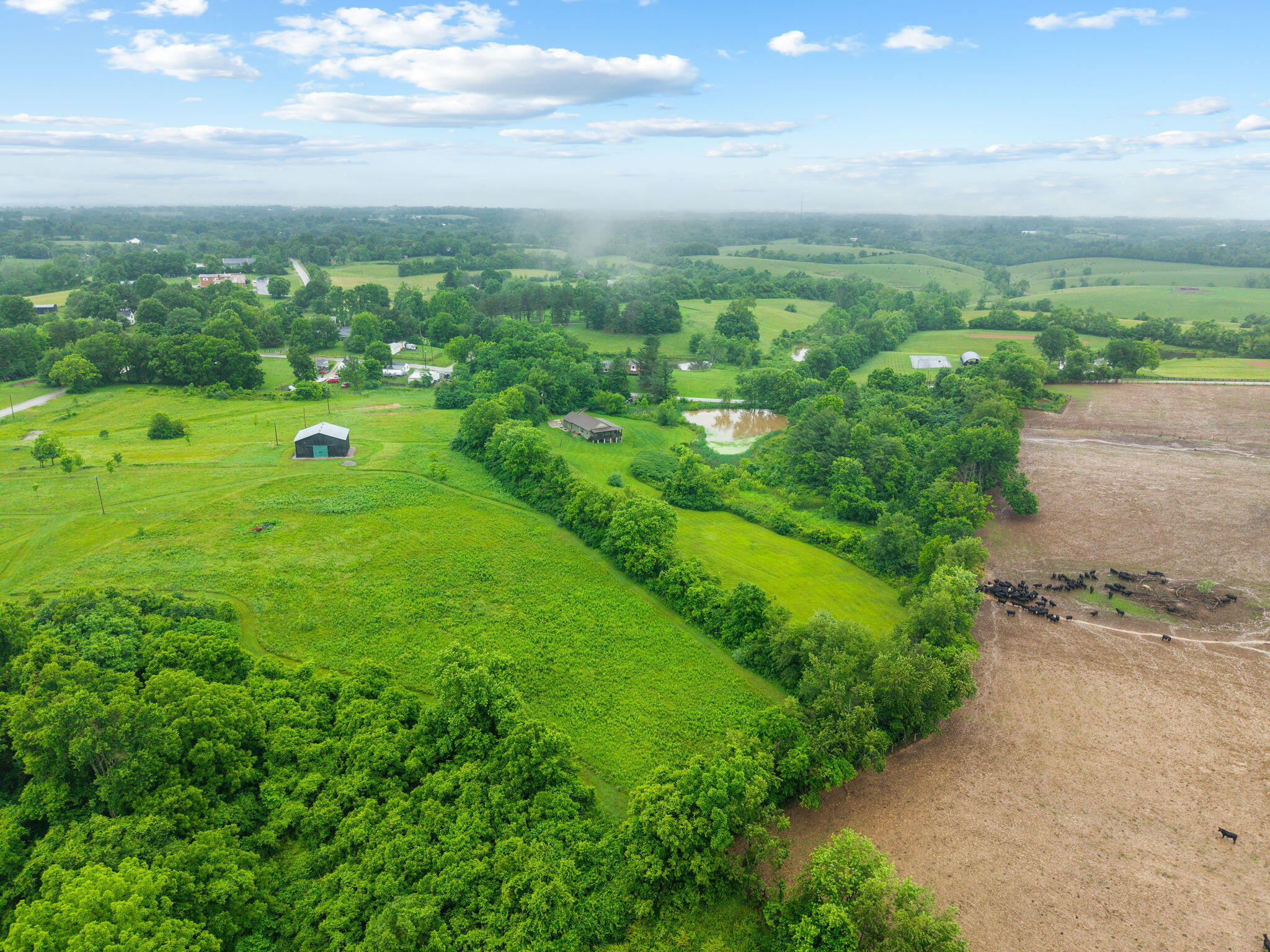 233 Schollsville Road Winchester, KY 40391 - Photo 62 of 67 9-web-or-mls-DJI_20260526110118_0019_D