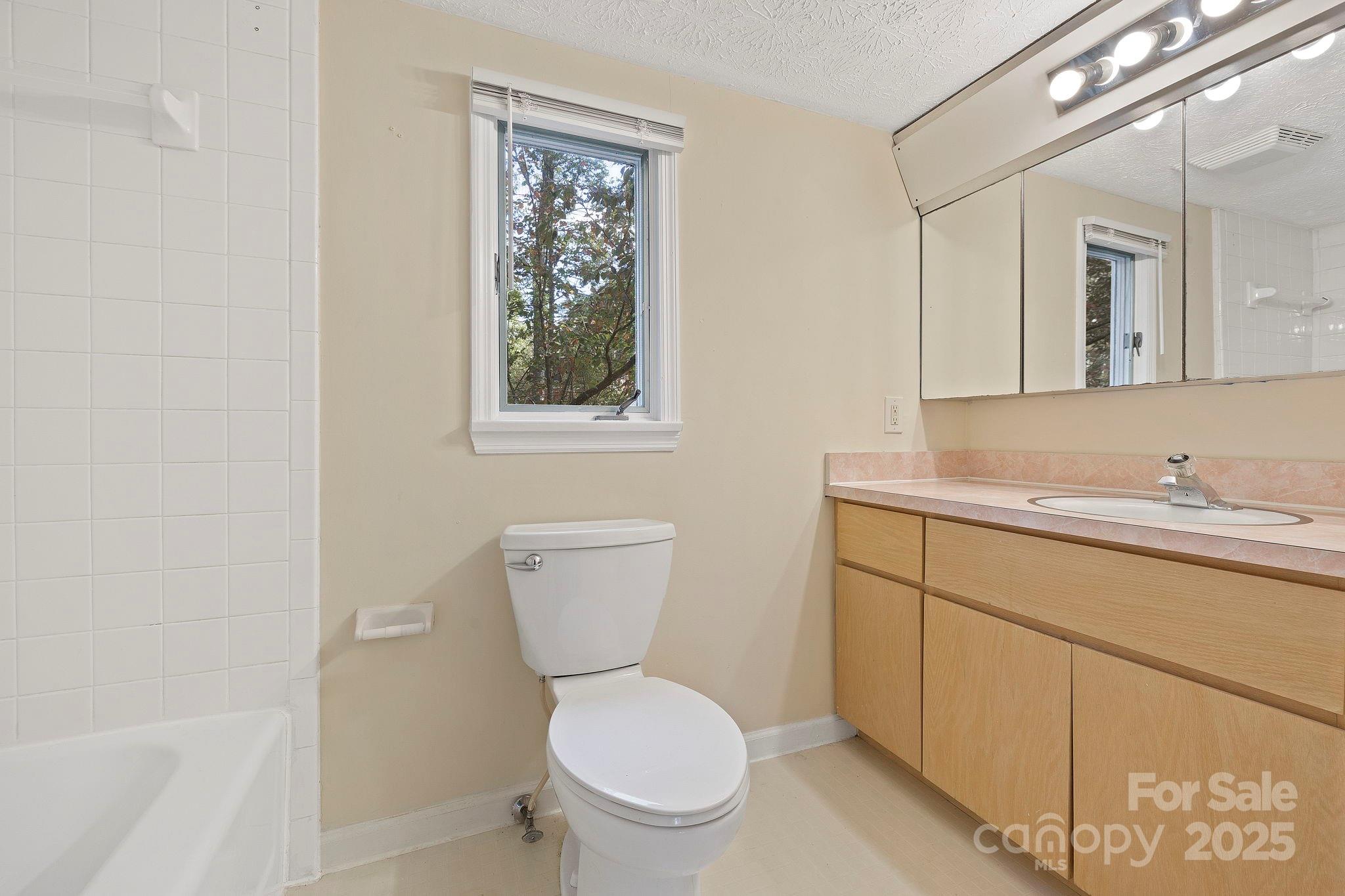 95 Temple Road Black Mountain, NC 28711 - Photo 16 of 30 a bathroom with a toilet a sink and mirror