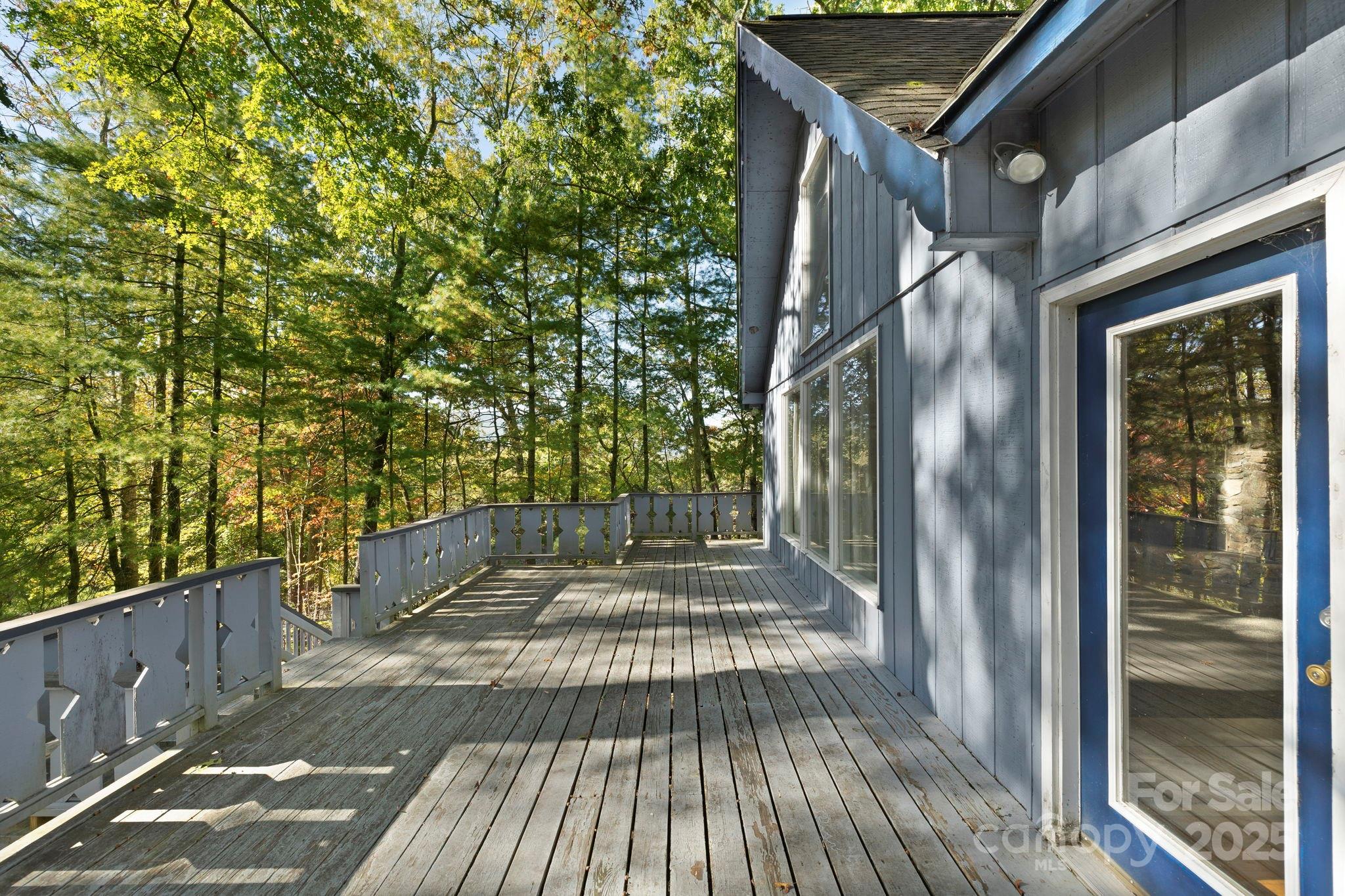 95 Temple Road Black Mountain, NC 28711 - Photo 22 of 30 a view of a pathway with a tree