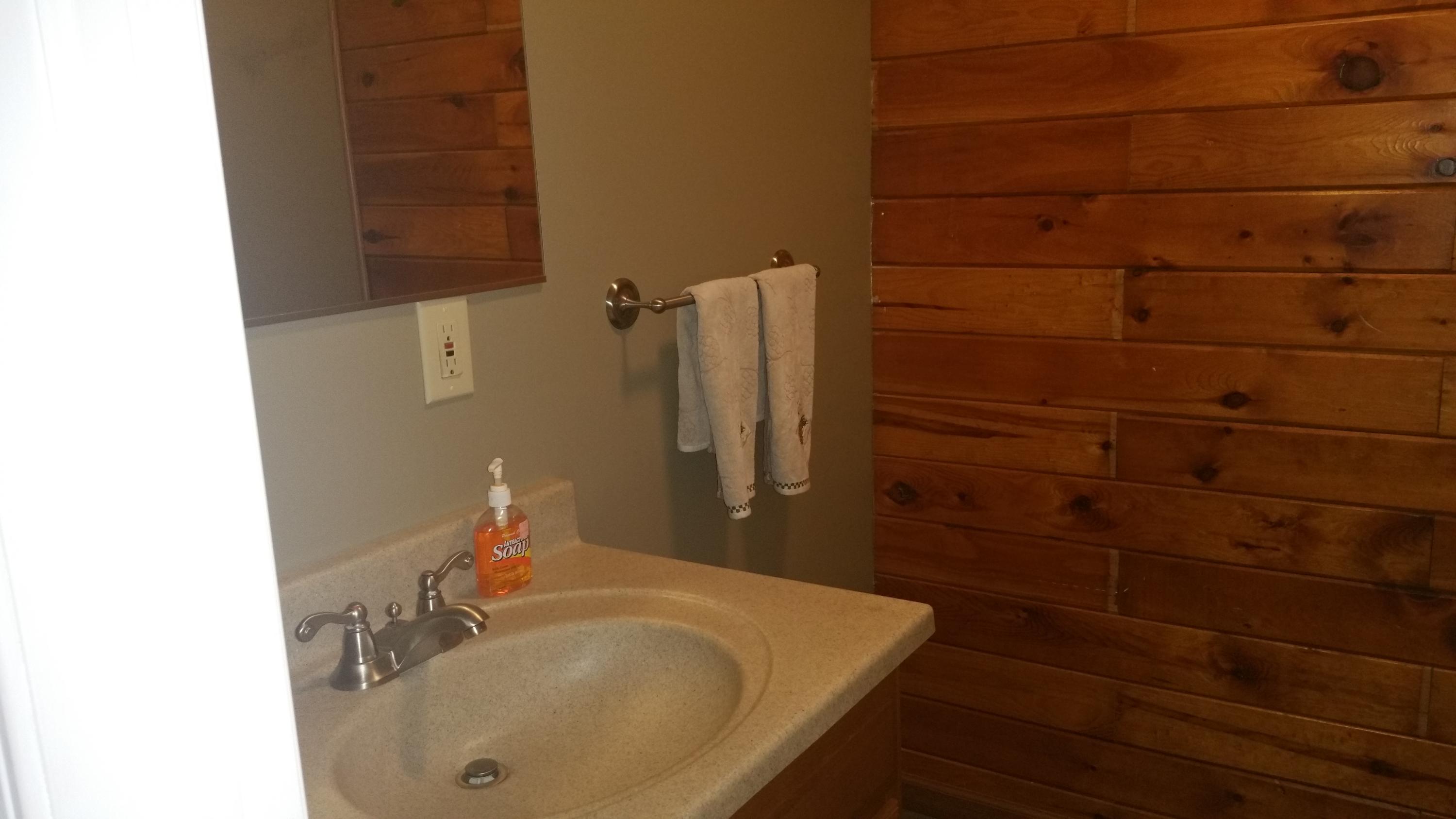 3130 South Mt Tom Road Mio, MI 48647 - Photo 34 of 54 Gallery Image 34