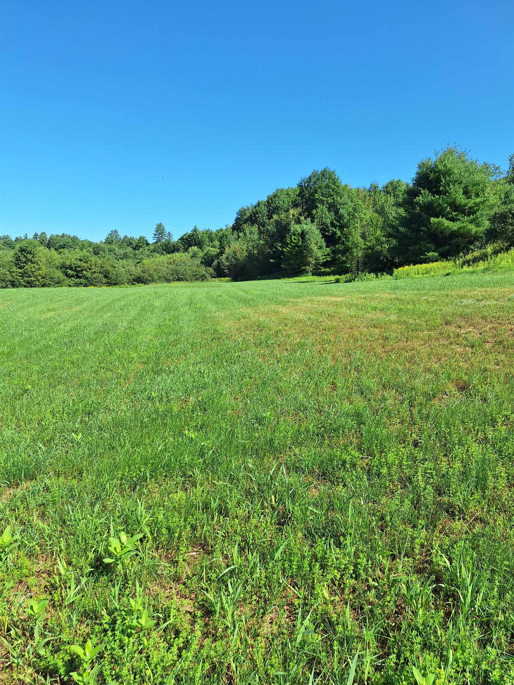 125 Hollins Road Haverhill, NH 03774 - Photo 4 of 13 Gallery Image 4
