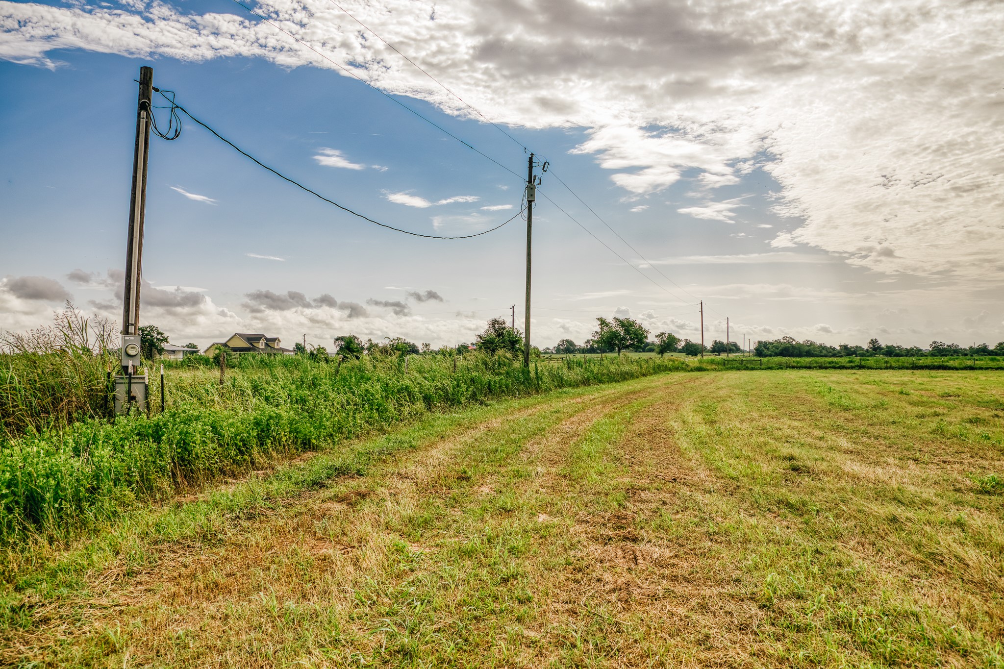 0 Richard Frey Road Waller, TX 77484 - Photo 5 of 23