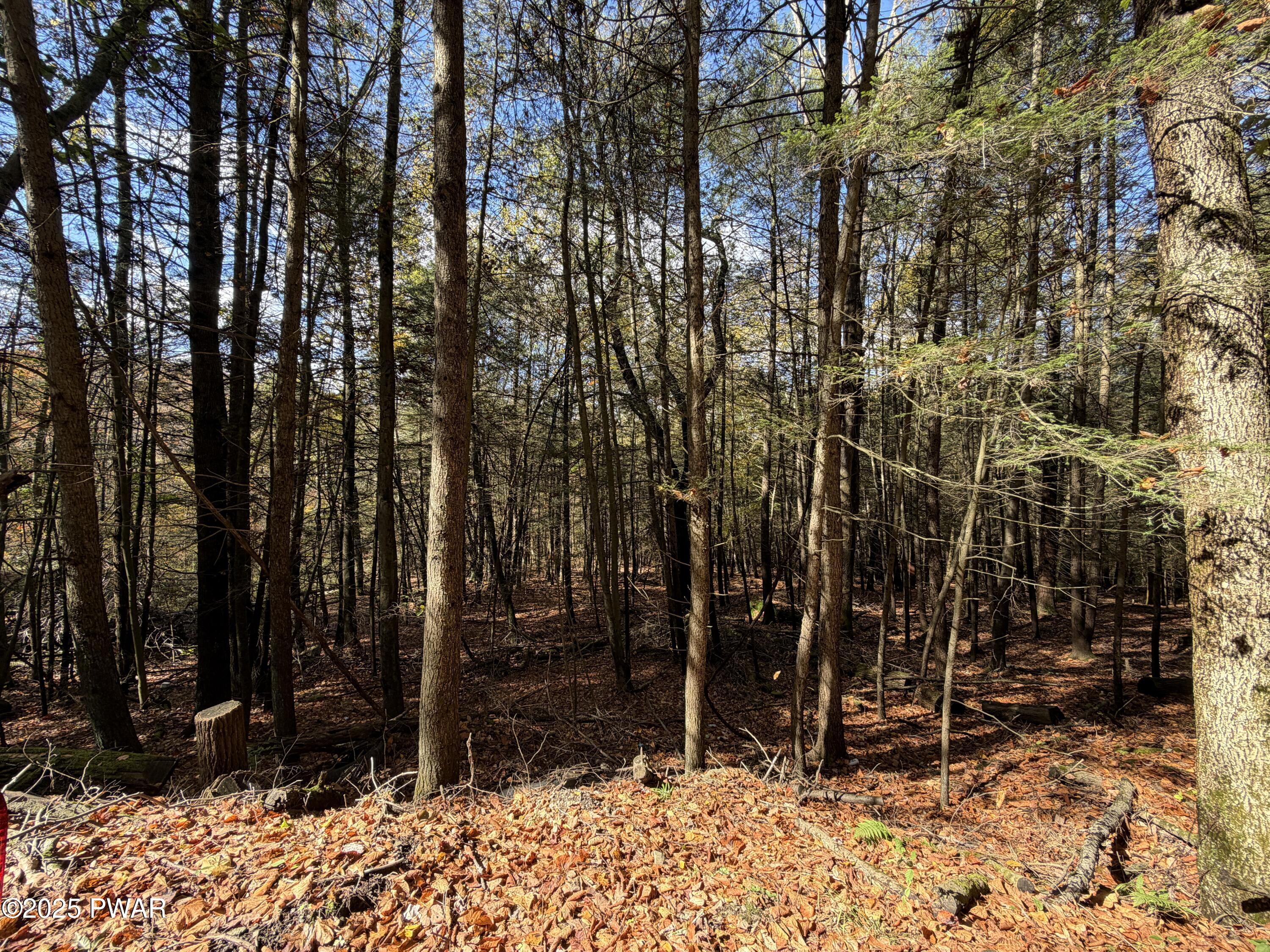 Knickerbocker Road Carbondale, PA 18407 - Photo 5 of 7