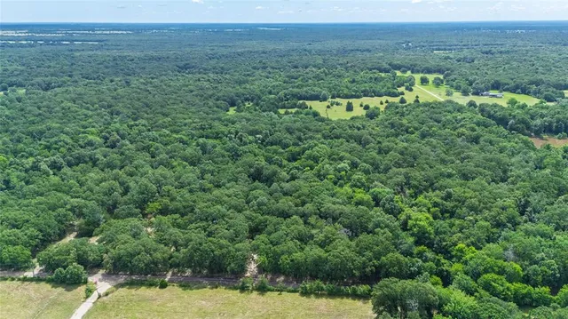 a view of a lush green forest with trees and some houses