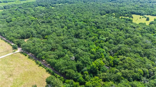 a view of a yard and swimming pool