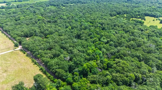 an aerial view of residential house with outdoor space and trees all around