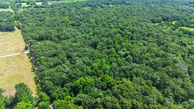 a view of a forest with a houses