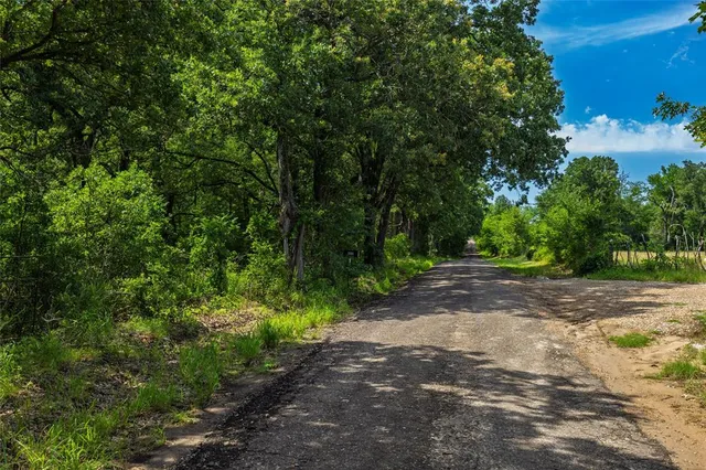 a view of a field with trees in the background