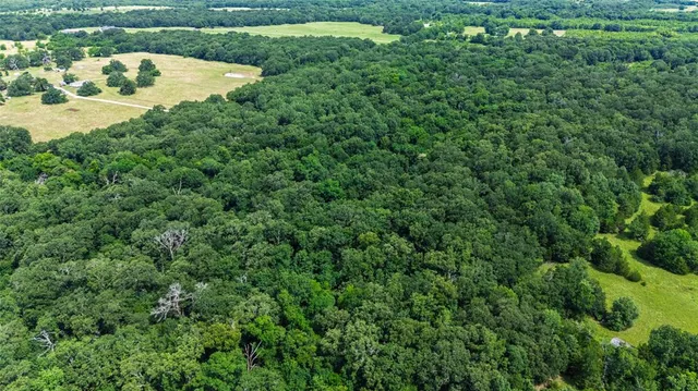 a view of a bird bath
