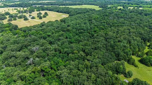 a view of a swimming pool and trees in the background
