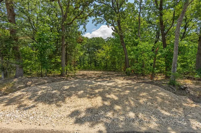 a view of outdoor space with trees