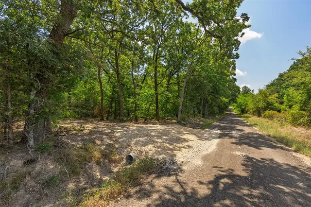 a view of a yard with large trees