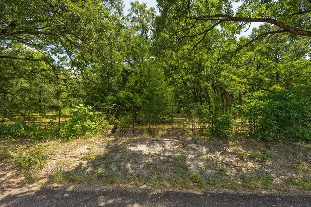 a view of a yard with a tree
