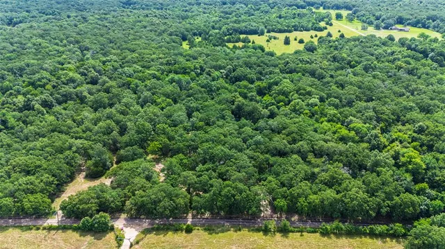 a view of a swimming pool and trees in the background