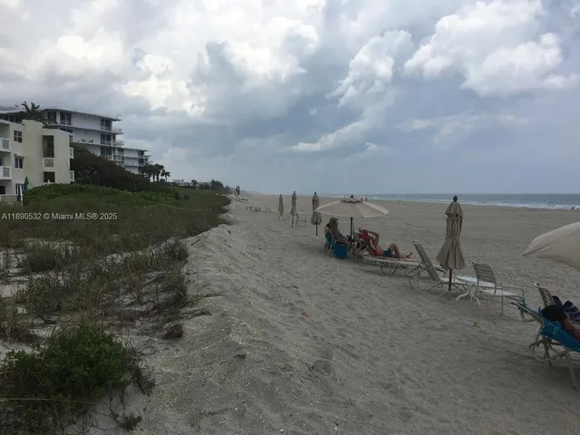 a view of a dry yard with wooden fence