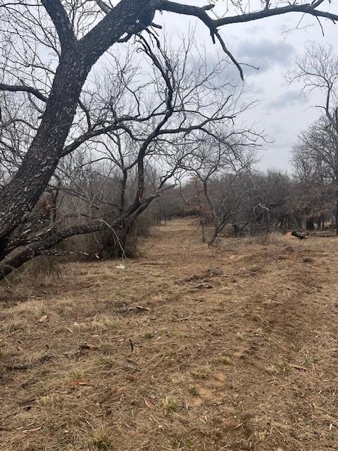 West 17-ac WEST 17-ac Burwick Road Jacksboro, TX 76458 - Photo 6 of 9 a view of a yard with a tree