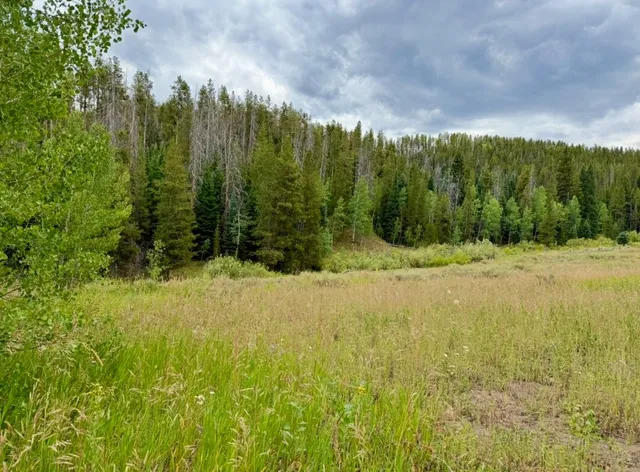 a view of outdoor space and yard