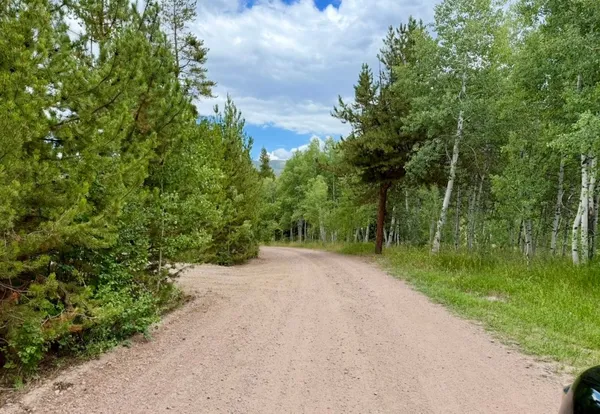 a view of a road with a yard