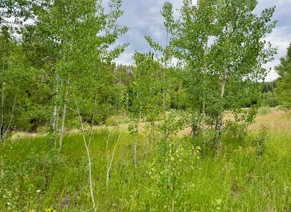 a view of an outdoor space and a yard