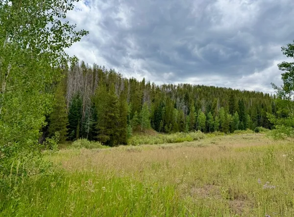 a view of outdoor space and yard