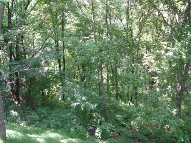 1655 Cheek Road Lewisburg, TN 37091 - Photo 12 of 20 Gallery Image 12