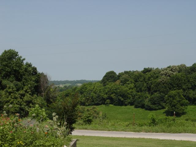 1655 Cheek Road Lewisburg, TN 37091 - Photo 17 of 20 Gallery Image 17