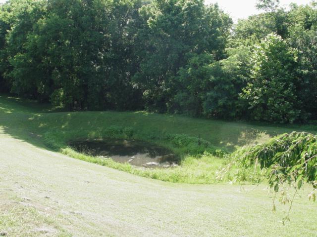 1655 Cheek Road Lewisburg, TN 37091 - Photo 20 of 20 Gallery Image 20