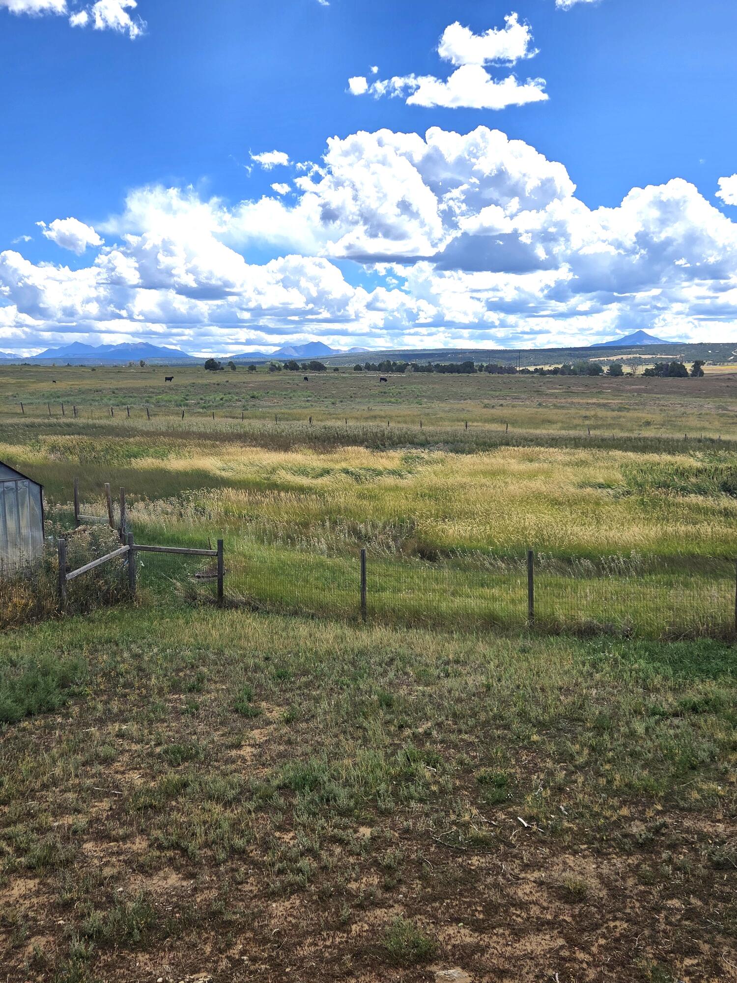 268 County Road Norwood, CO 81423 - Photo 6 of 28 a view of a lake view