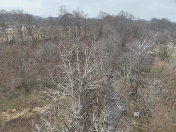a view of a dry yard with trees in the background
