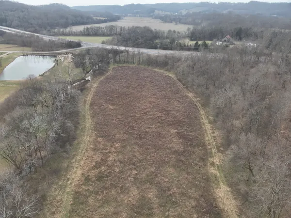 a view of a dry field with trees in the background