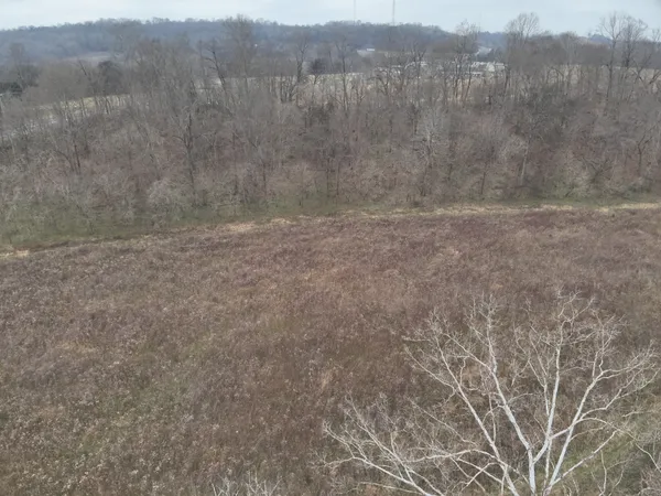 a view of a dry yard with mountain view