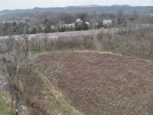 a view of a dry yard with trees