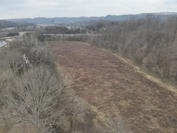 a view of a dry yard with mountains in the background