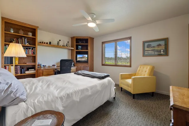 a bedroom with a bed and a couch