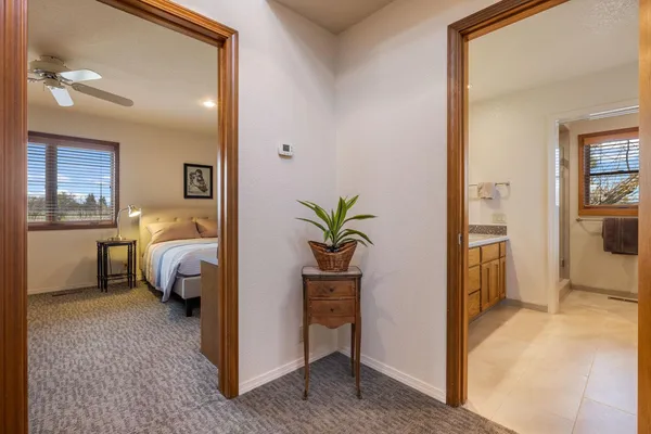 a bedroom with furniture and a potted plant