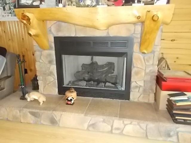 155 Dutch Street Oak Ridge, PA 16245 - Photo 16 of 23 a picture of a fireplace