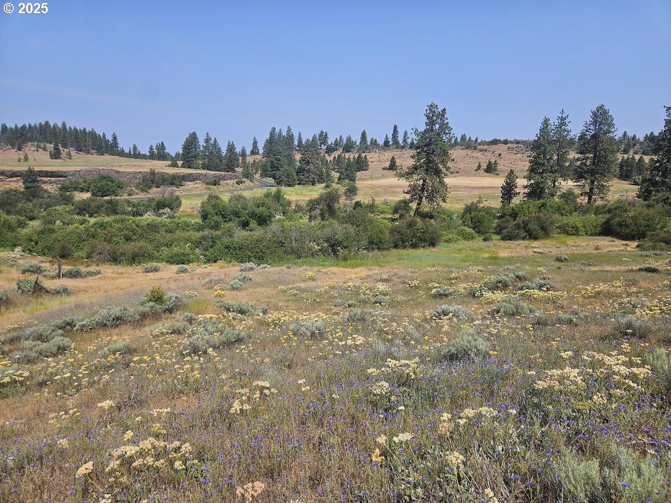 Olson Road Centerville, WA 98613 - Photo 11 of 24 a view of a city