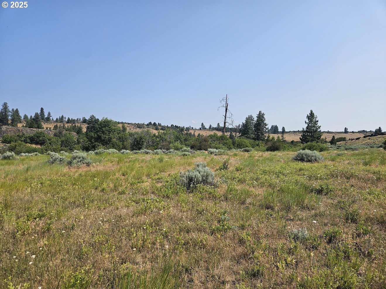 Olson Road Centerville, WA 98613 - Photo 18 of 24 a view of a city with lush green forest