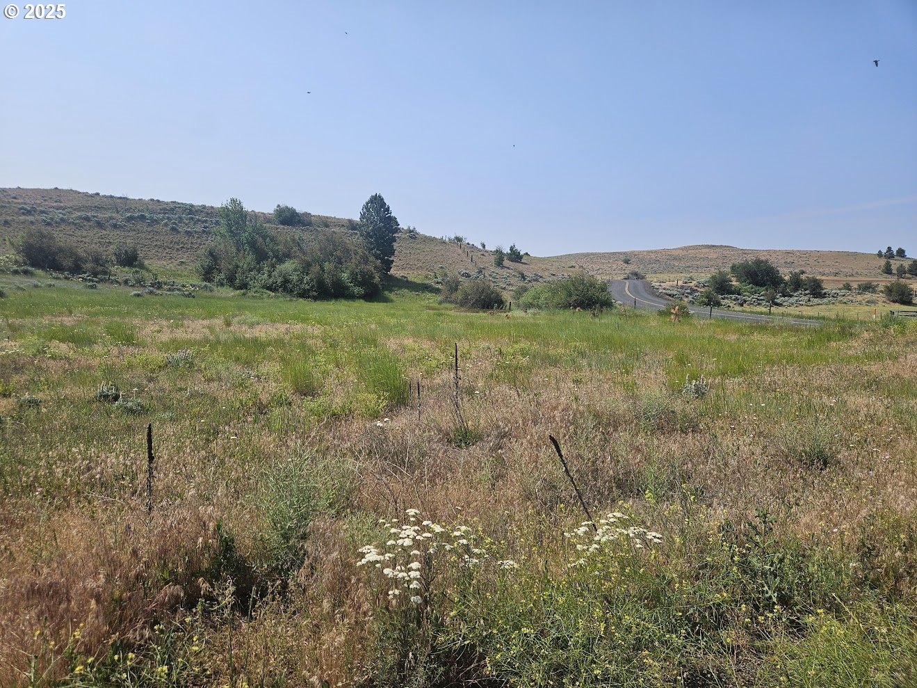 Olson Road Centerville, WA 98613 - Photo 19 of 24 a view of an outdoor space with mountain view