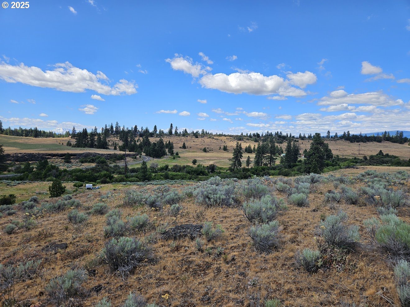 Olson Road Centerville, WA 98613 - Photo 21 of 24 a view of a big yard with table and chairs