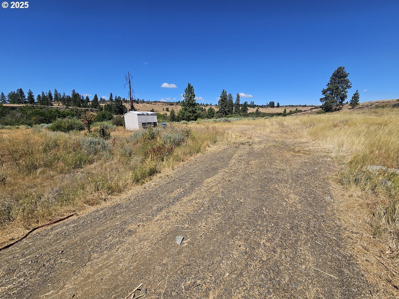 Olson Road Centerville, WA 98613 - Photo 22 of 24 a view of a ocean with a building in the background