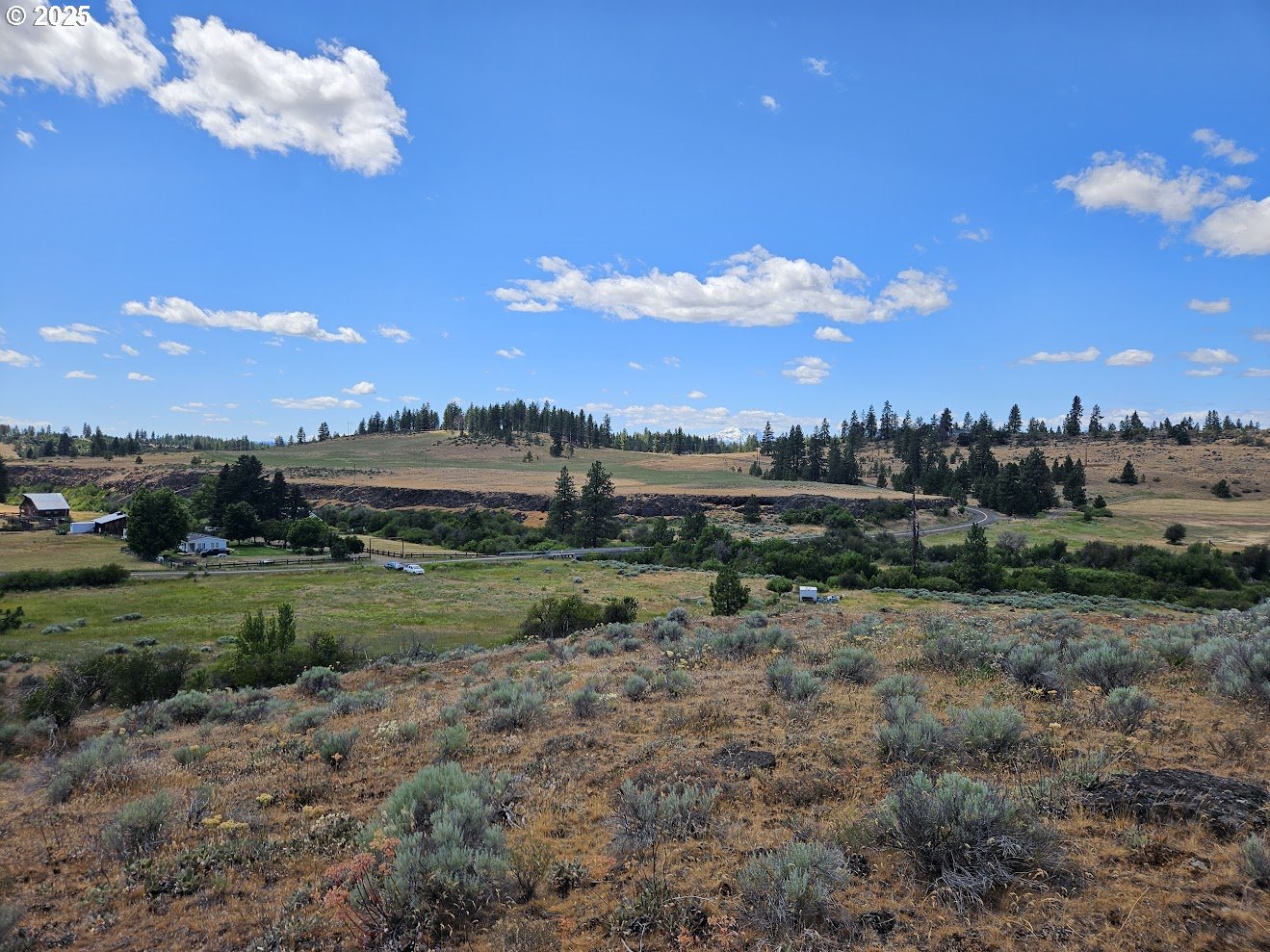 Olson Road Centerville, WA 98613 - Photo 4 of 24 a view of a big yard with table and chairs