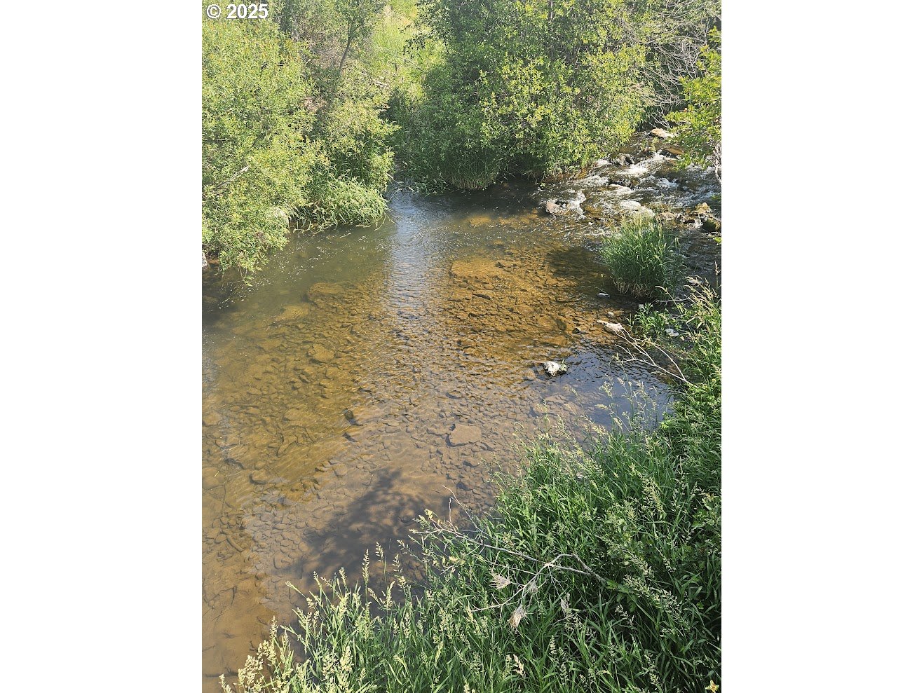 Olson Road Centerville, WA 98613 - Photo 5 of 24