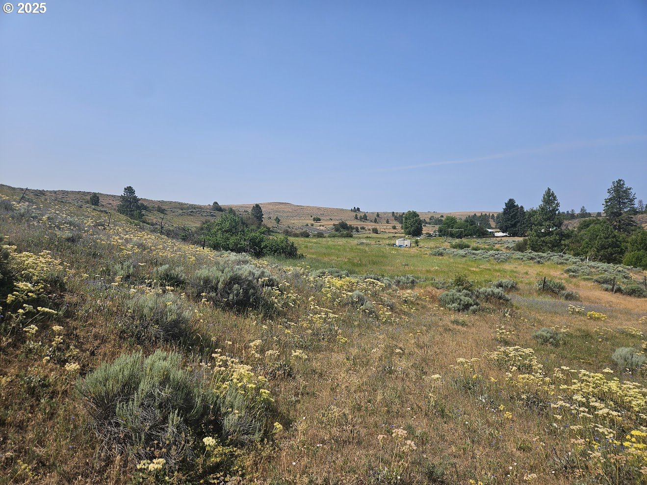 Olson Road Centerville, WA 98613 - Photo 8 of 24 a view of a field with trees in background