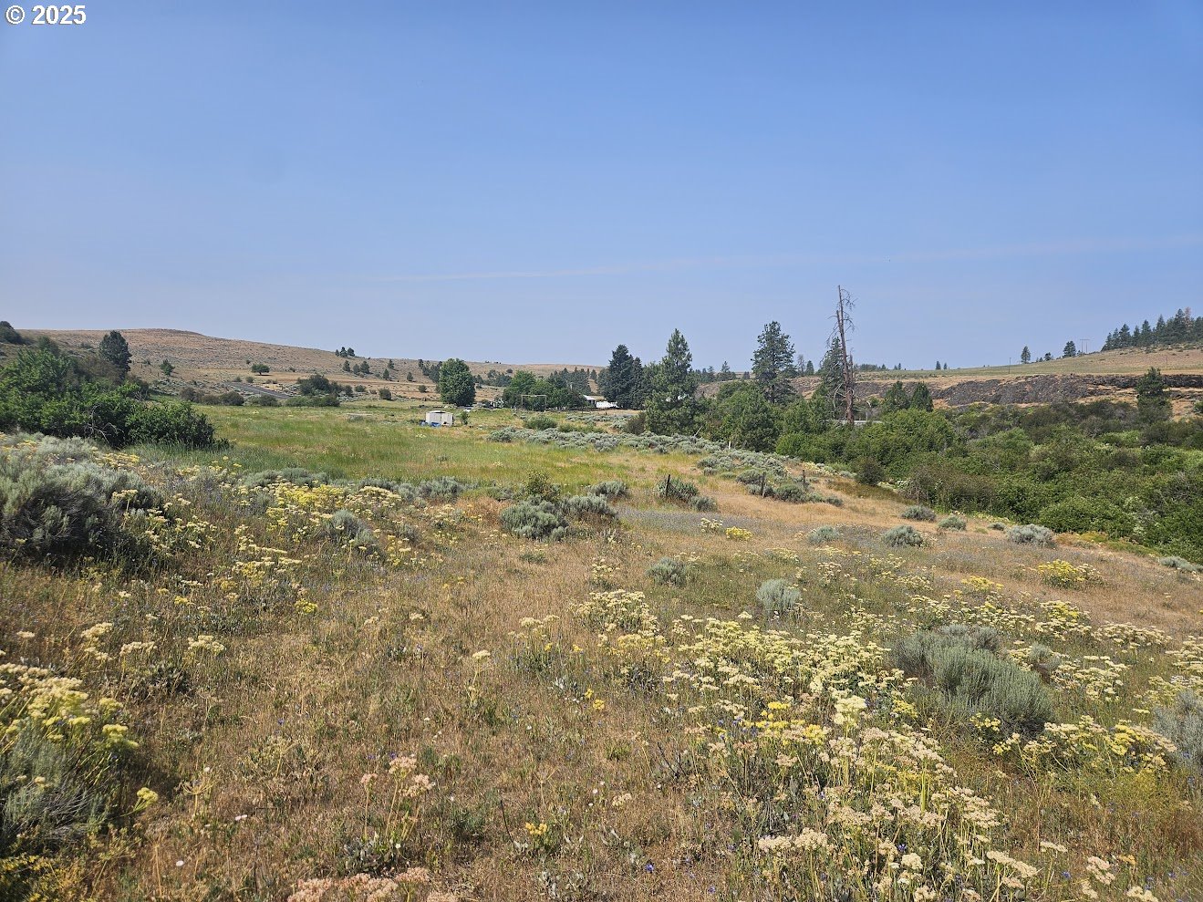 Olson Road Centerville, WA 98613 - Photo 9 of 24 a view of a field with an ocean