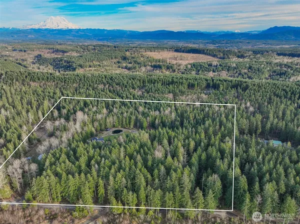 a view of a city with lush green forest