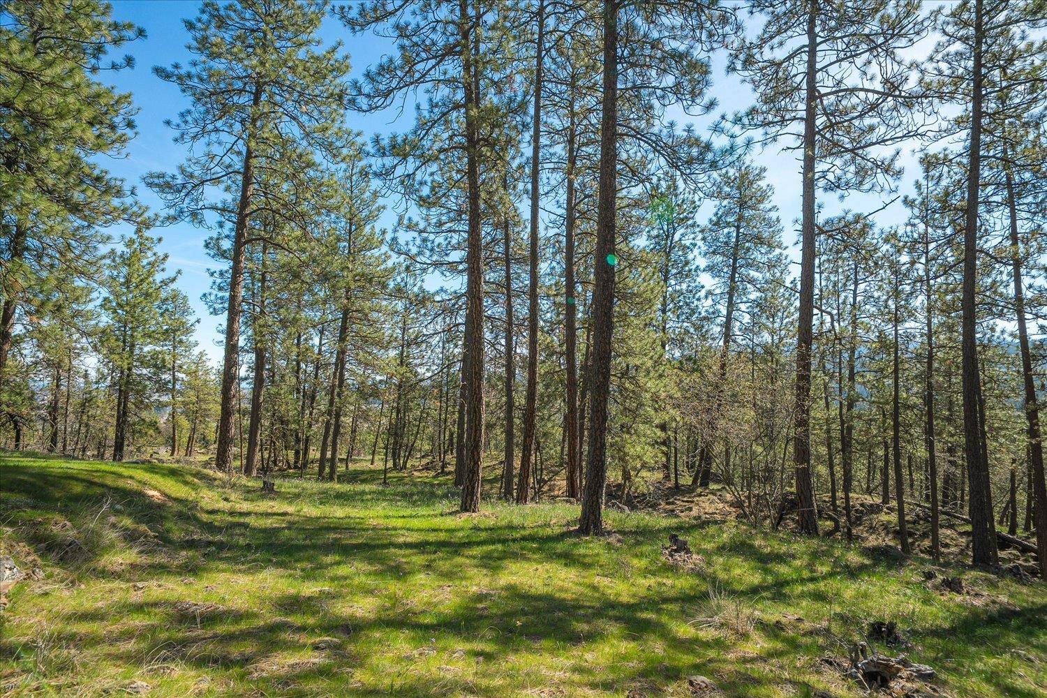 2712 North Chase Road Liberty Lake, WA 99019 - Photo 28 of 50