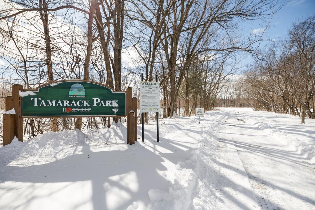 303 Roma Avenue West Roseville, MN 55113 - Photo 29 of 36