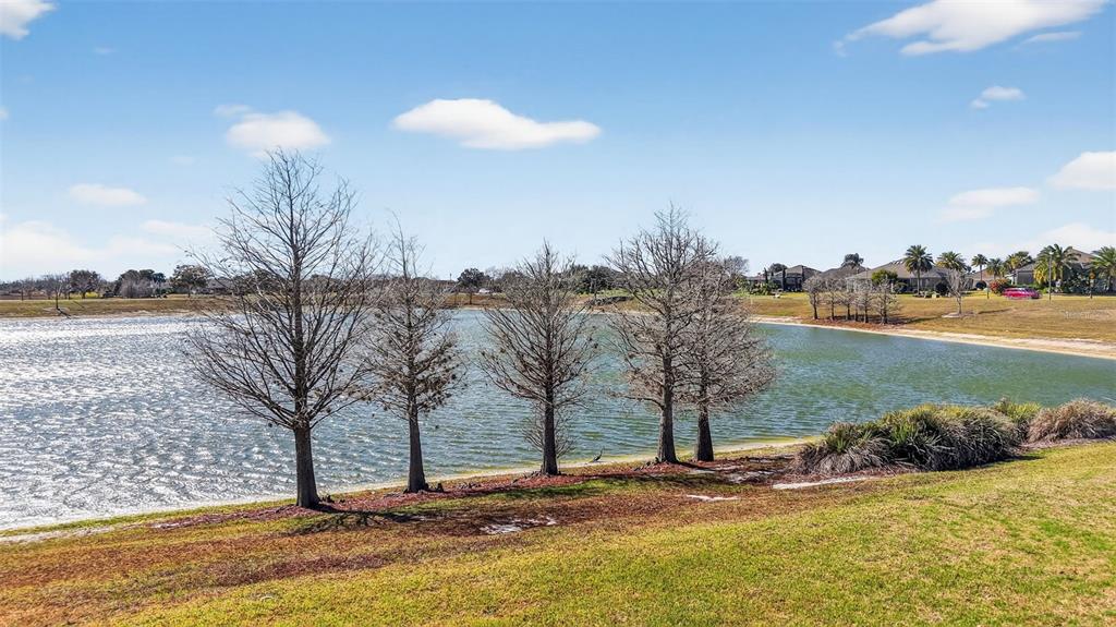 3416 Countryside Path The Villages, FL 32163 - Photo 43 of 52