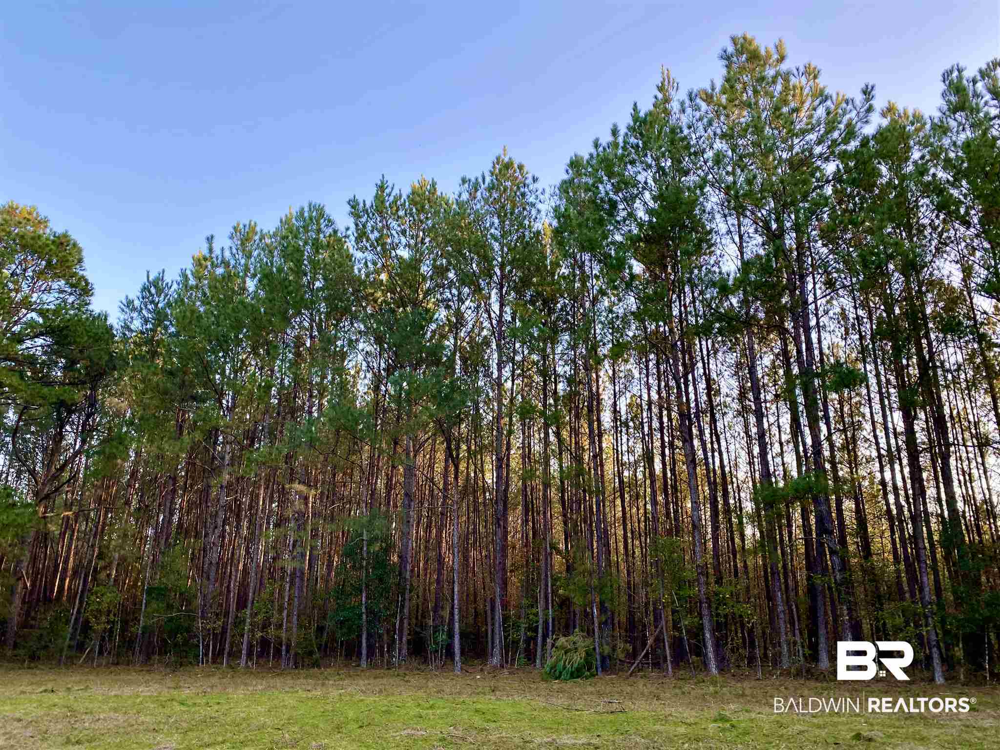 0 Country Road Fruitdale, AL 36539 - Photo 31 of 47